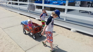 The boys took Sally around in a cart, which if you can't tell she LOVED. She even hung out in the cart and played. 